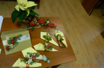 DSCN2065